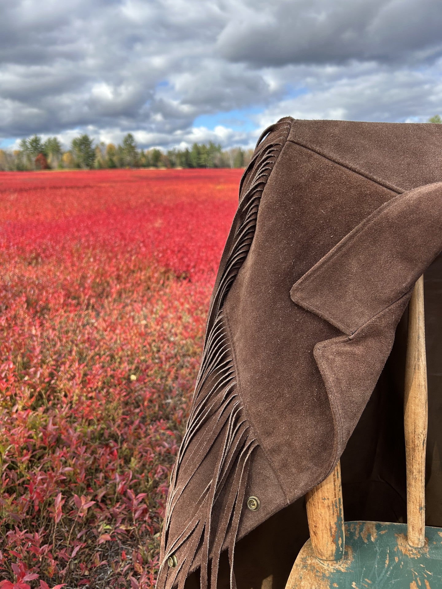Vintage 1970's Schott Roughout Suede Western Fringe Jacket