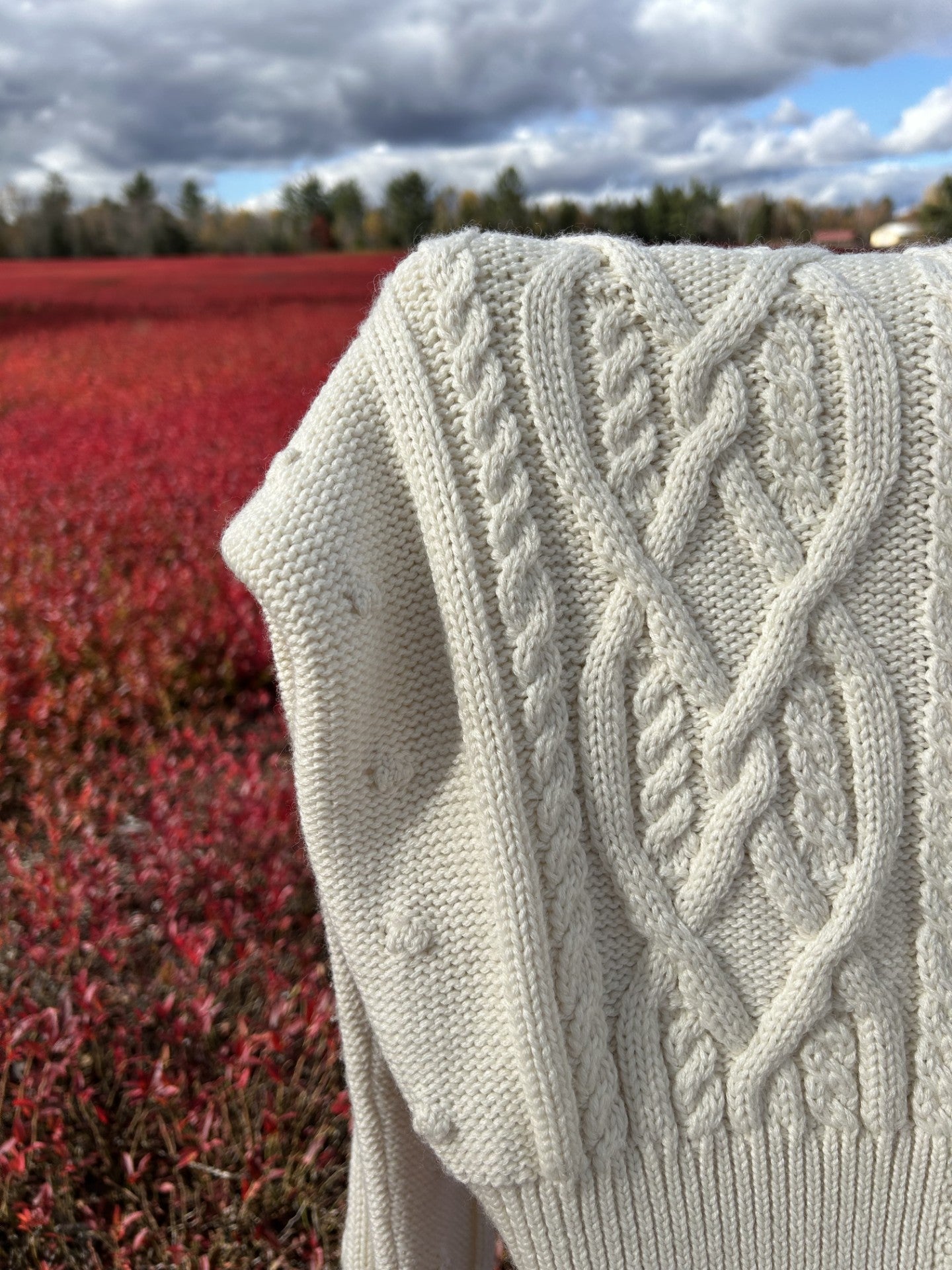 Vintage Alan Manoukian Belgium Wool Blend Cable Knit Sweater Bomber