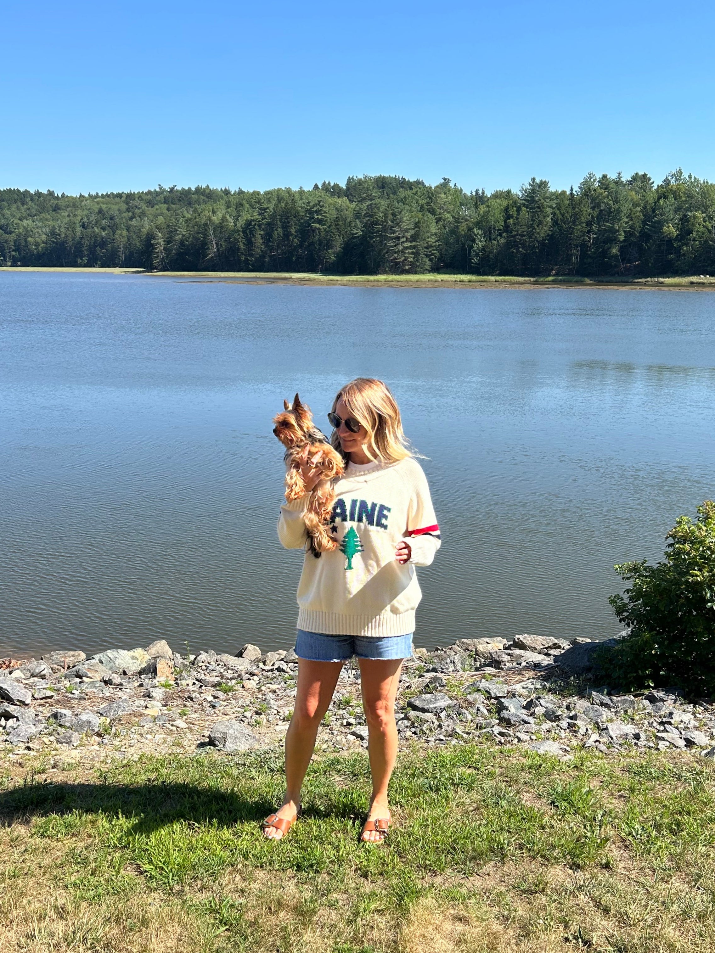 Maine Vintage Lone Pine Cotton Sweater